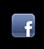 social_r1_c2.gif